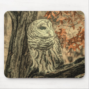 Tapis De Souris feuilles d'automne rustique chêne chêne blanc hibo