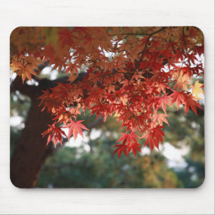 Tapis De Souris Feuilles, érable, arbre