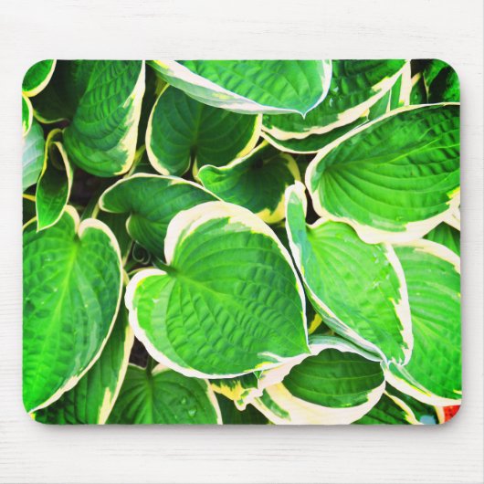 Tapis De Souris Feuilles Hosta (Devant)