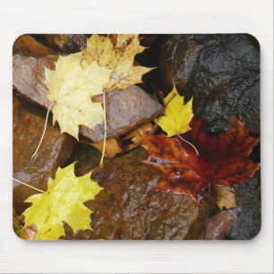 Tapis De Souris Feuilles mouillées et rochers Photographie de la n