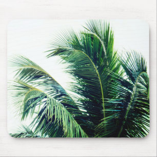 Tapis De Souris Feuilles Palm Tree