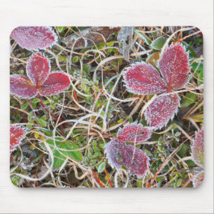 Tapis De Souris Feuilles recouvertes de givre, Canada