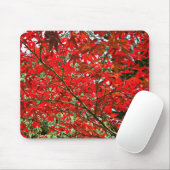 Tapis De Souris Feuilles rouges (Avec souris)
