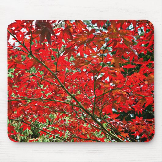 Tapis De Souris Feuilles rouges (Devant)