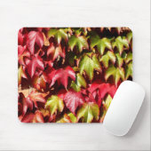 Tapis De Souris Feuilles rouges et verts (Avec souris)