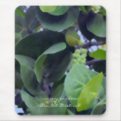 Tapis De Souris Feuilles sculpturaux (Devant)