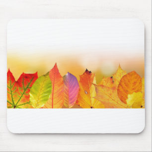 Tapis De Souris Feuilles tombés