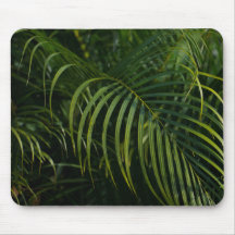 Feuilles vert foncé, nature simple