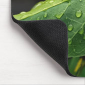 Tapis De Souris Feuilles, Vertes, Botanique (Coin)