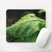 Tapis De Souris Feuilles, Vertes, Botanique (Avec souris)