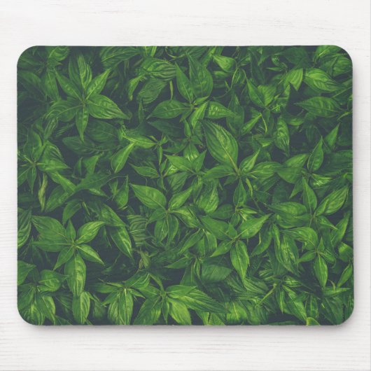 Tapis De Souris Feuilles Vertes Foncées (Devant)