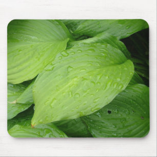 Tapis De Souris feuilles vertes, gouttes de pluie