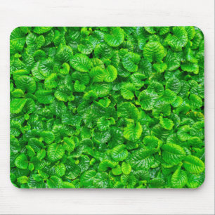 Tapis De Souris Feuilles vertes luxuriantes