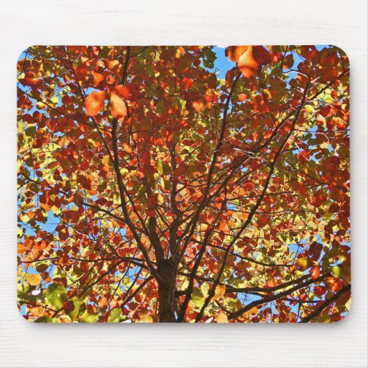 Tapis De Souris Feux d'artifice de feuilles d'automne (Devant)