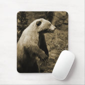Tapis De Souris Fière Ours (Avec souris)