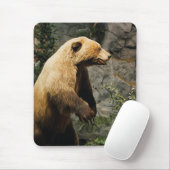 Tapis De Souris Fière Ours (Avec souris)