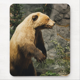 Tapis De Souris Fière Ours