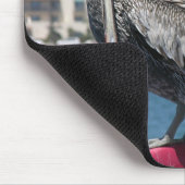 Tapis De Souris Fière Pelican Mousepad (Coin)