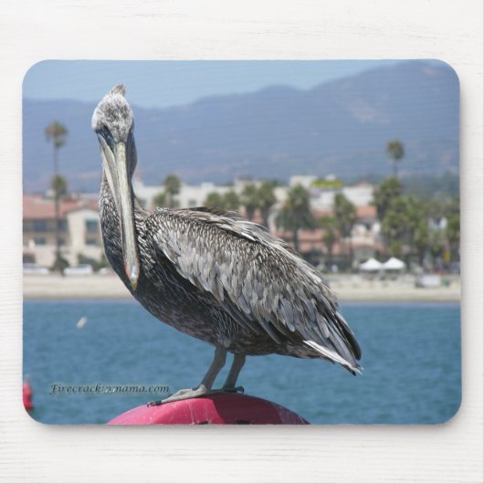 Tapis De Souris Fière Pelican Mousepad (Devant)
