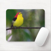 tapis de souris Fil-coupé la queue de Manakin (Avec souris)