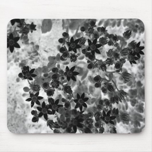 Tapis De Souris Filligree (Devant)