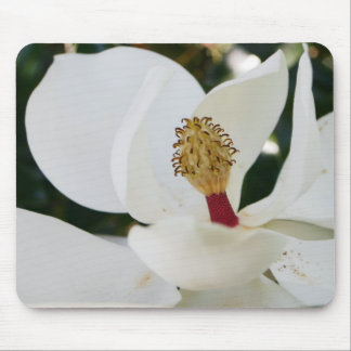 Tapis De Souris Fin blanche de fleur de cadeaux de fleur de