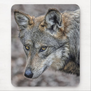 Tapis De Souris Fin d'aperçu de loup