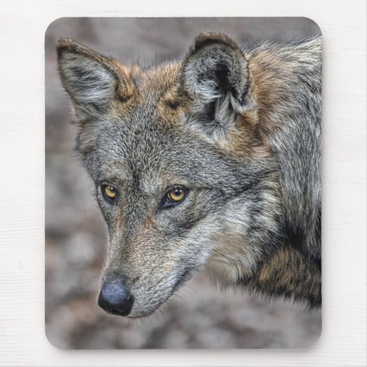 Tapis De Souris Fin d'aperçu de loup (Devant)