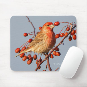 Tapis De Souris Finch maison avec Berries Hawthorn
