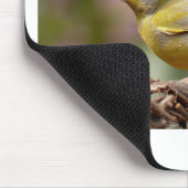 Tapis De Souris Finch vert (Coin)