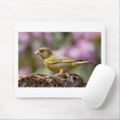 Tapis De Souris Finch vert (Avec souris)