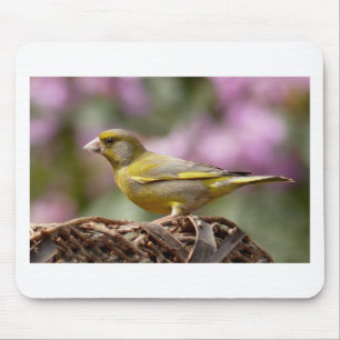 Tapis De Souris Finch vert