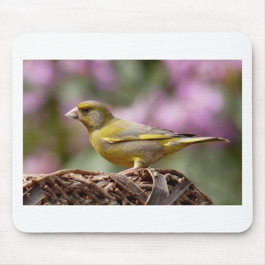 Tapis De Souris Finch vert (Devant)