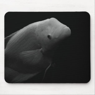 Tapis De Souris Fish in Tank - Black and White Art Photograph