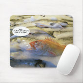 Tapis De Souris fishjoke (Avec souris)