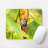 Tapis De Souris fixation calme (Avec souris)