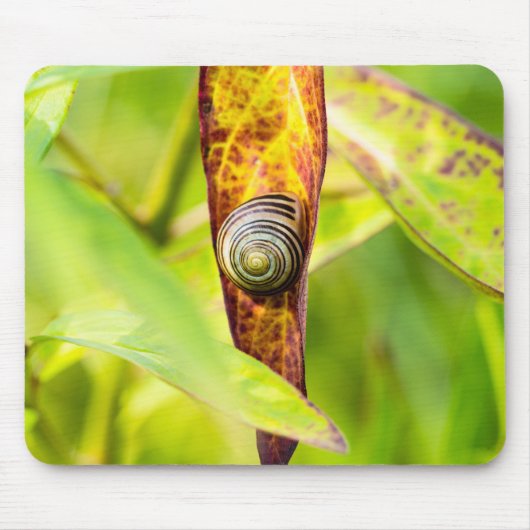 Tapis De Souris fixation calme (Devant)