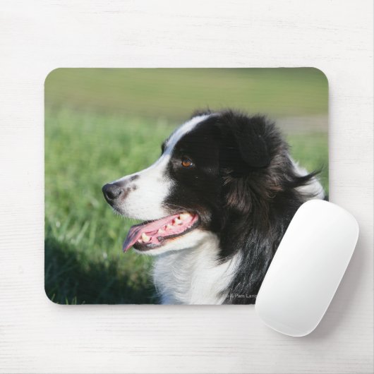 Tapis De Souris Fixation de chiot de border collie (Avec souris)
