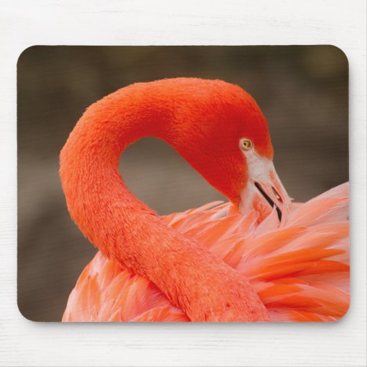 Tapis De Souris flamant des Caraïbes (Devant)