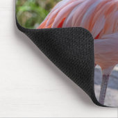 Tapis De Souris Flamant des Caraïbes (Coin)
