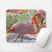 Tapis De Souris Flamant des Caraïbes (Avec souris)