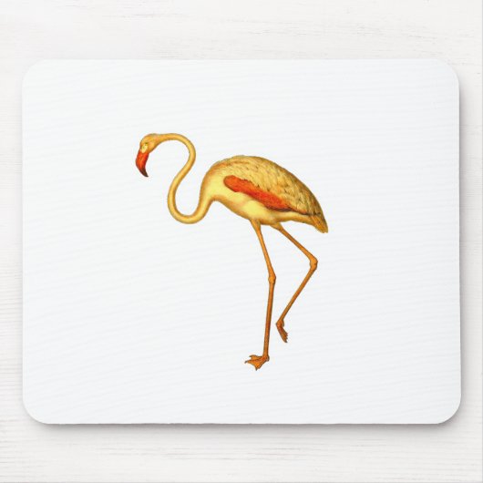 Tapis De Souris Flamant rose (Devant)