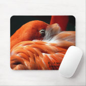 Tapis De Souris Flamant rose (Avec souris)