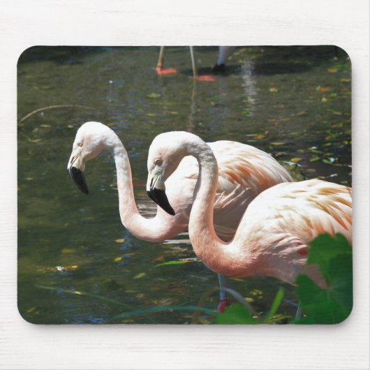 Tapis De Souris Flamant rose dans un étang avec un arbre vert (Devant)