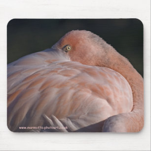 Tapis de souris flamant rose dormant