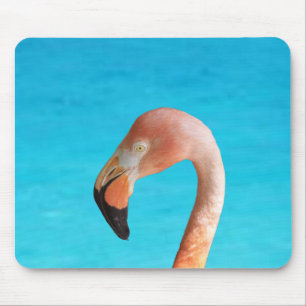 Tapis De Souris Flamant rose face contre l'eau bleue sur un