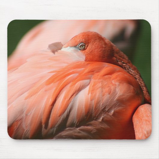 Tapis De Souris Flamant rose Mousepad (Devant)
