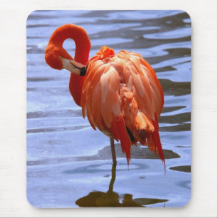 Tapis De Souris Flamant sur une jambe dans l'eau