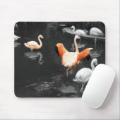 Tapis De Souris Flamants roses (Avec souris)