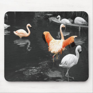 Tapis De Souris Flamants roses